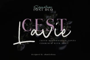 Cest Lavie Duo: The Font Pairing That Balances Seriousness and Joy