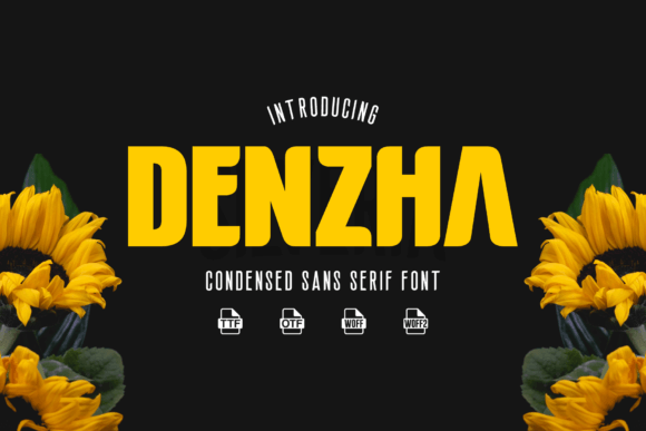 Denzha: Where Modern Elegance Meets Practical Design